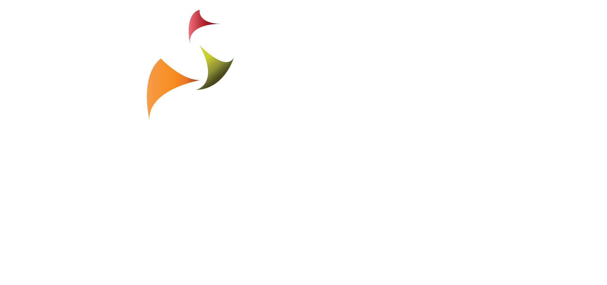 Sinerji tasarım grafik yazılım hizmetleri